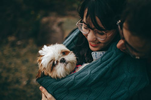 Tips on How to Spoil Your Pets a Little More